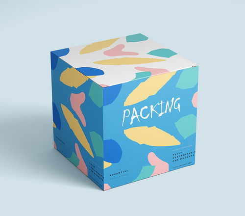 时尚产品包装设计样机资源解析与淘宝采购指南